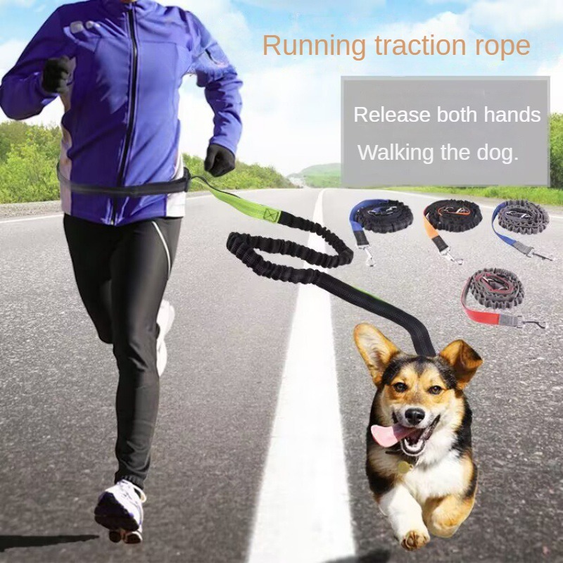 Hand Free Dog Leash for Pet Wa - Running Jogging Gear recension och pris